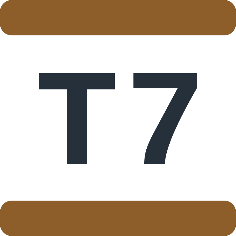 tramway7
